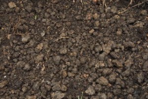 soil-improvement-007