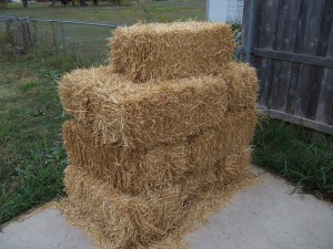 straw-mulch