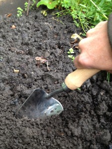 trowel #2