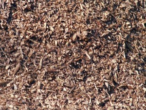 wood chips mulch